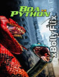 Boa vs Python (2004) Dual Audio (ORG) [Hindi+English] Hollywood Hindi Dubbed Movie Download